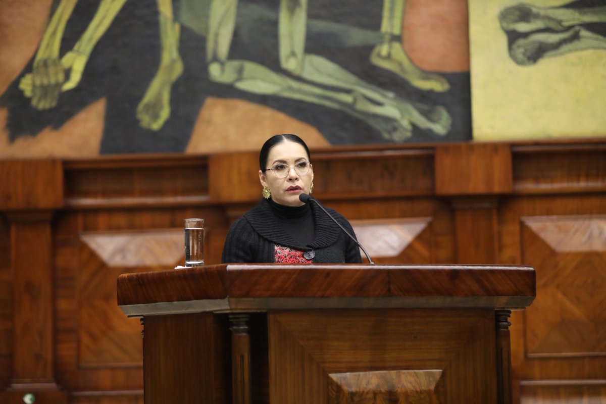 AsambleaEcuador's tweet photo. El Pleno de la Asamblea Nacional recibe a la presidenta del Consejo Nacional Electoral, @DianaAtamaint, quien expone el #InformeDeLabores2024 del @cnegobec. #JuntosLegislamos https://t.co/M6GaoRO6ya