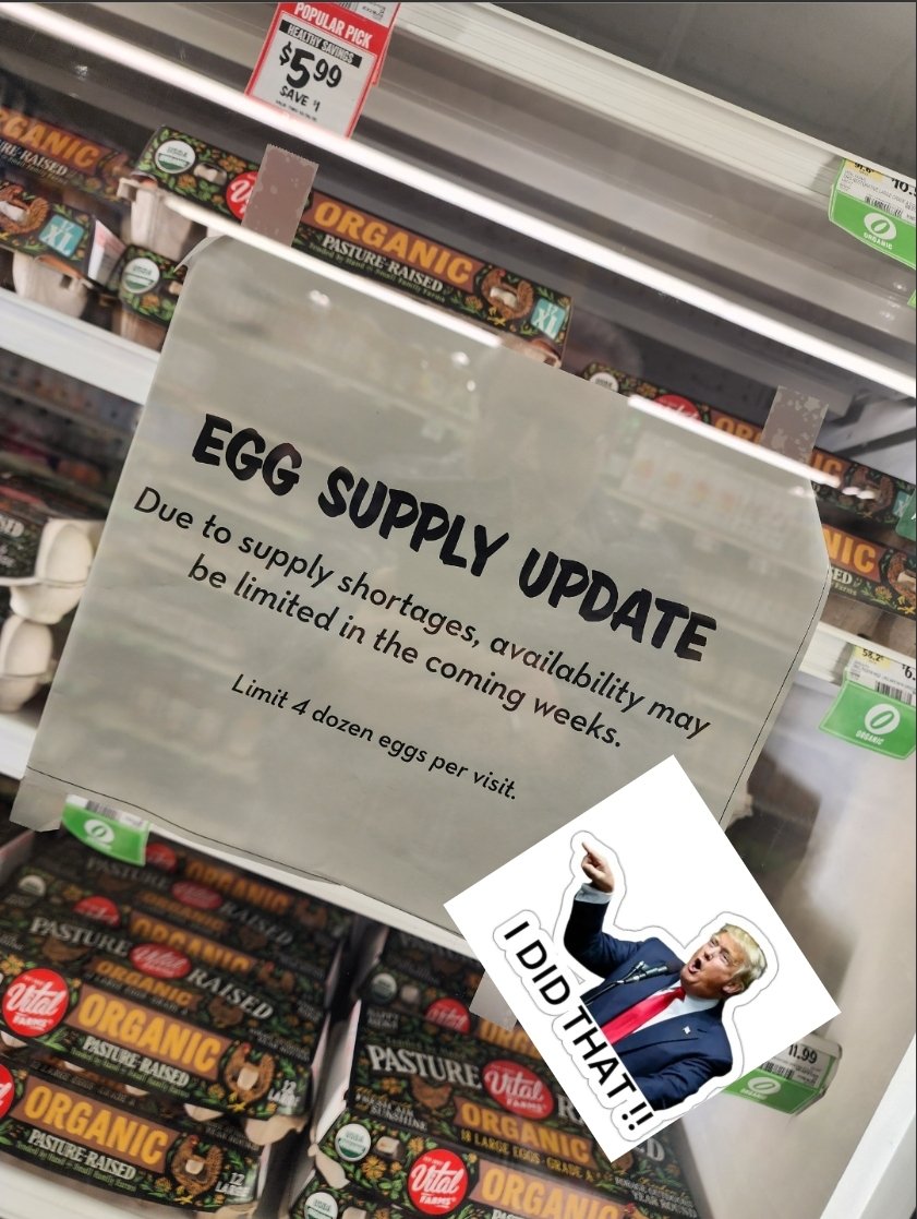 Tivoni Devor (@tivonidevor) on Twitter photo 