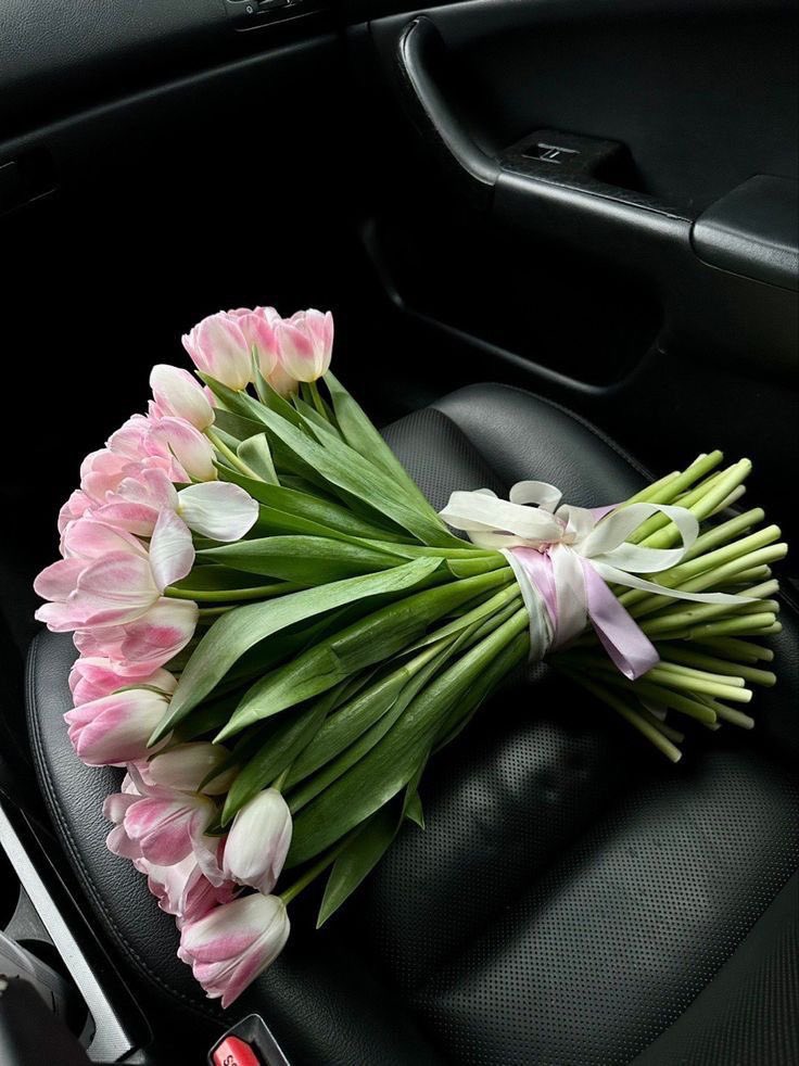 Tulips 🌷