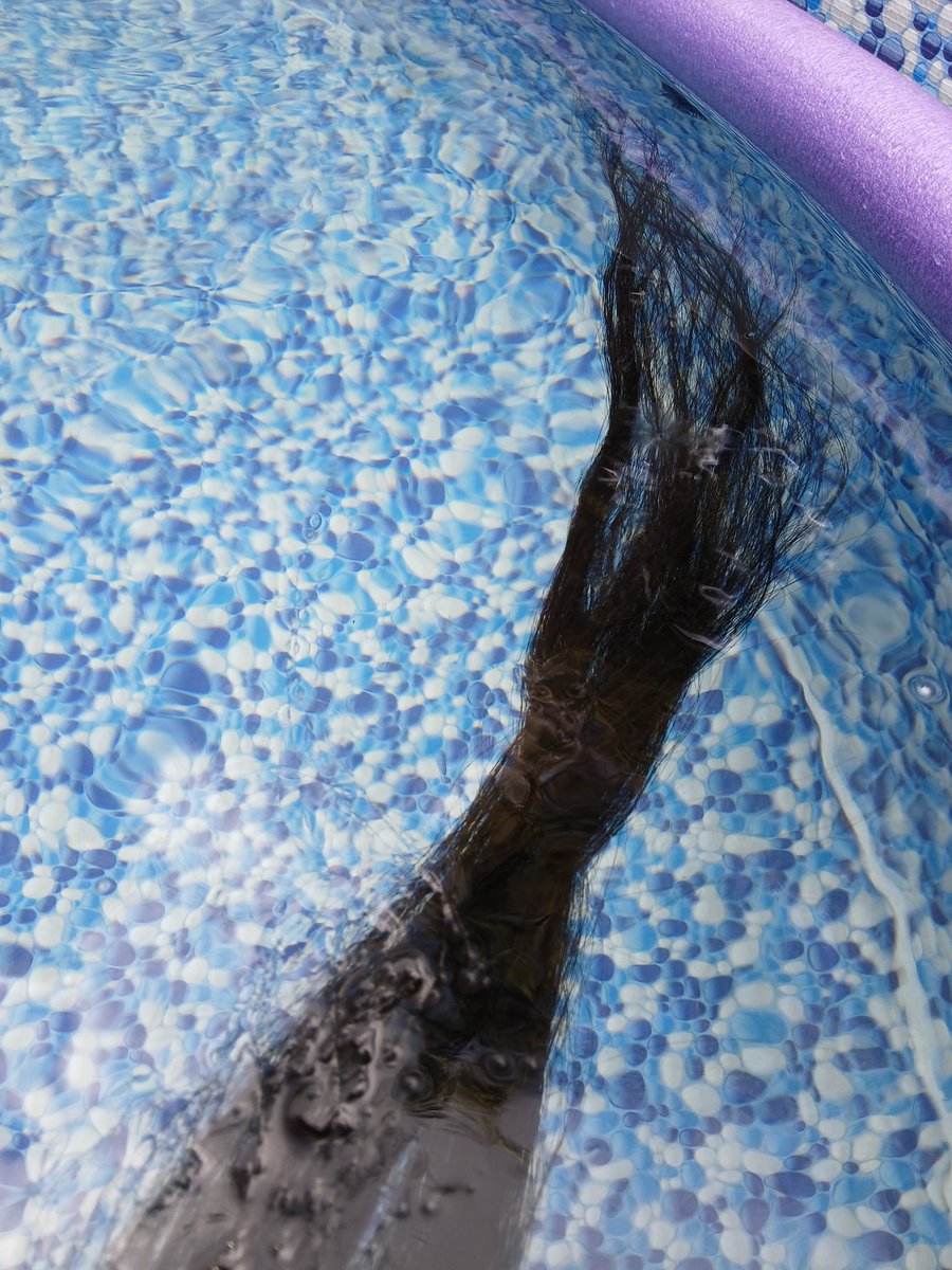 MumeiHHH's tweet photo. Creí que me atacó una weá en la piscina y era mi pelo xd https://t.co/EQAlztJ3mn