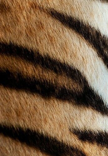 eterocrimen's tweet image. ⠀⠀⠀⠀⠀⠀⠀⠀⠀⠀⠀⠀⠀⠀⠀⠀⠀⠀⠀⠀⠀⠀⠀⠀⠀