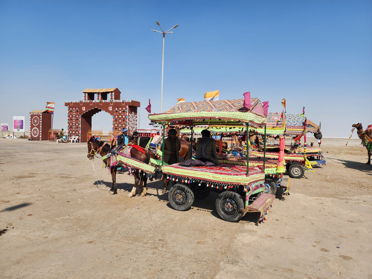 Rann Utsav in Kutch, Gujarat, celebrates art, culture, and heritage. Equine owners ferry tourists through the white salt desert, supporting both the festival and their livelihoods. BI connects them with LHPs for first-aid, and ensures water and fodder for the equines.