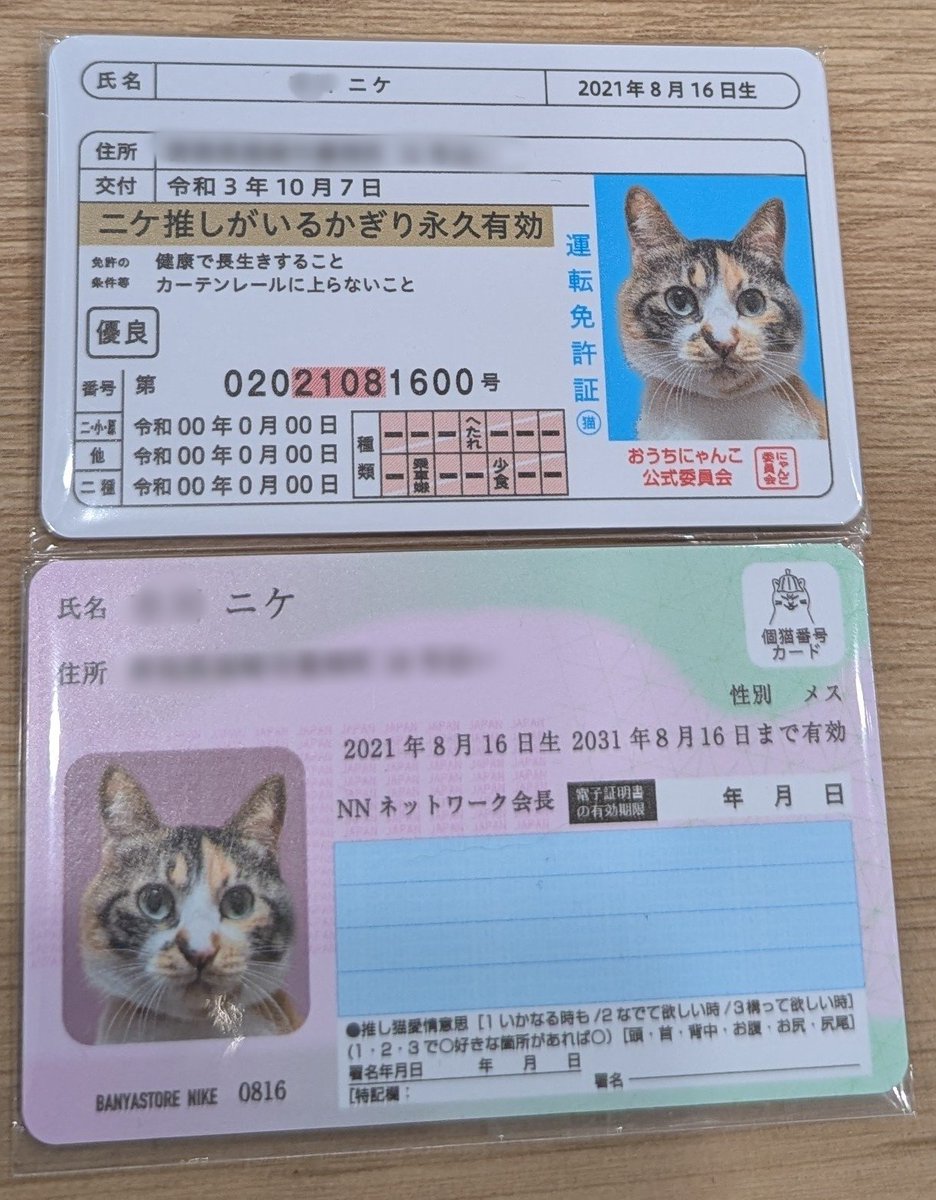 猫ちゃん免許証、まいにゃんばーカードのセットでオーダーを頂きました