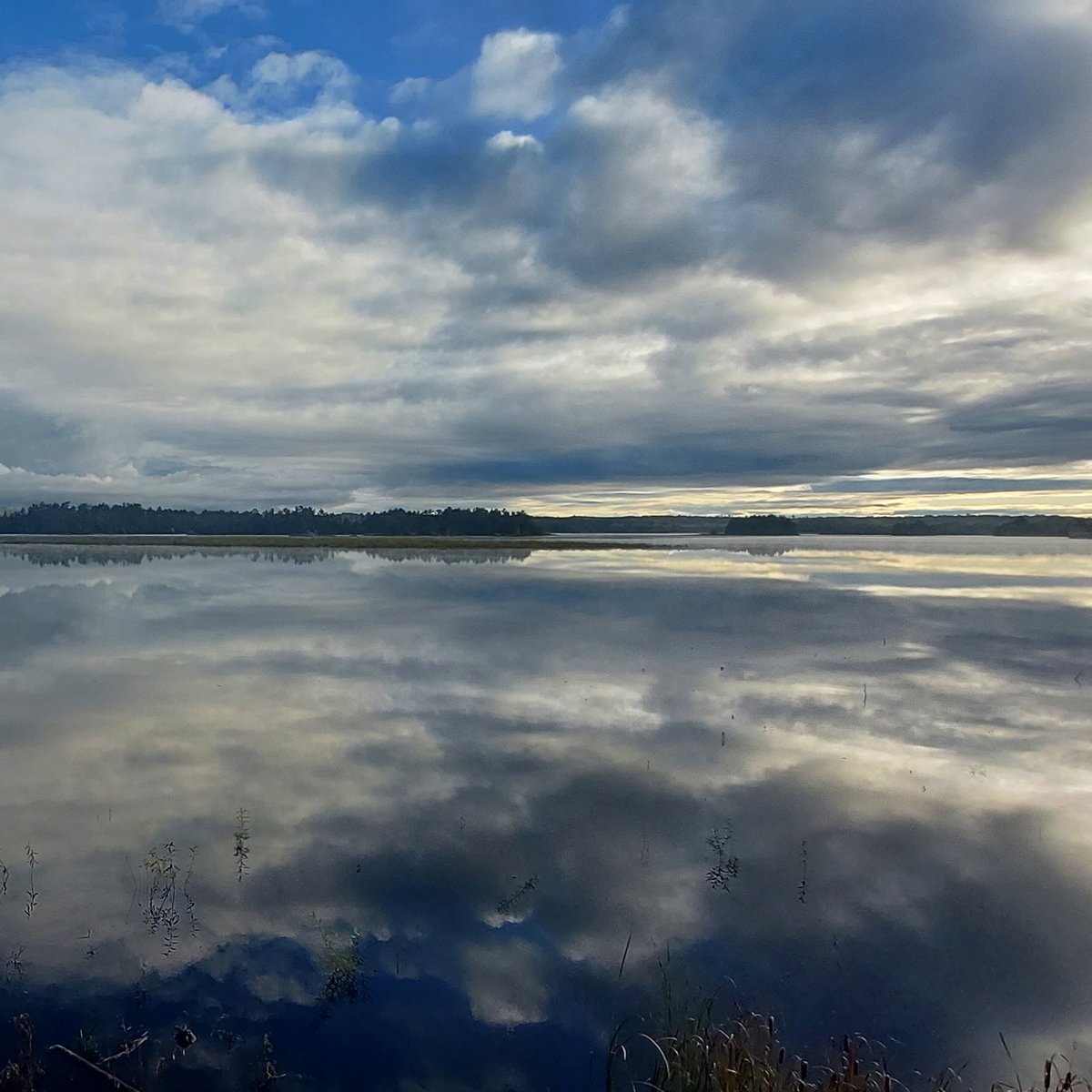OldenburgHouse's tweet photo. Thompson Reservoir a few blocks from the house in late May 2024 - It Why We Love it Here!
#oaccwhyweloveithere https://t.co/to2PA6nlUk