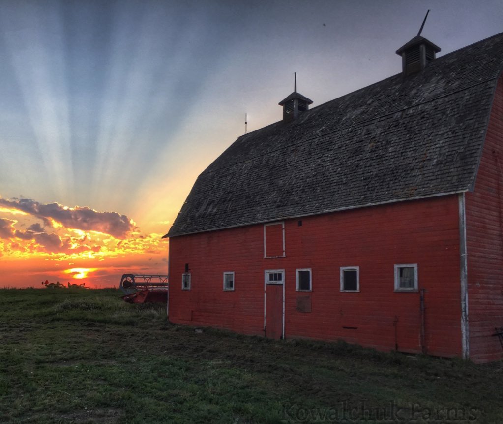 John Kowalchuk🧢 tweet media