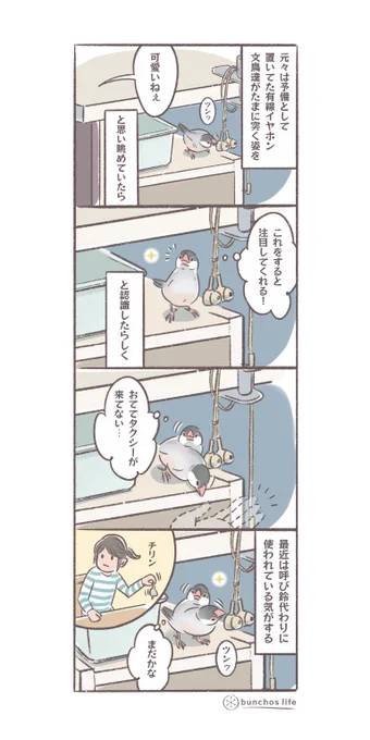 呼び鈴代わりにイヤホンを突く2号
#文鳥 
#4コマ漫画 