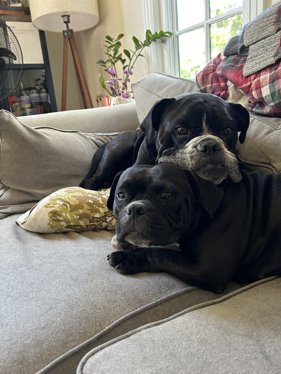 @fastmissile.bsky.social tweet media