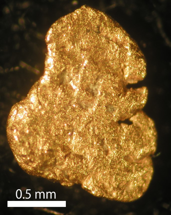 今日は金の日。ゴールドラッシュのきっかけとしてカリフォルニアで砂金