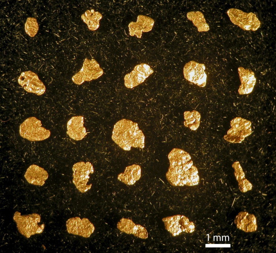 今日は金の日。ゴールドラッシュのきっかけとしてカリフォルニアで砂金