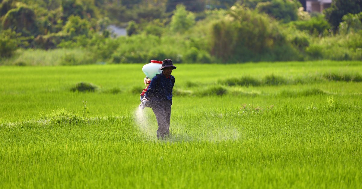 dltledgers tweet media