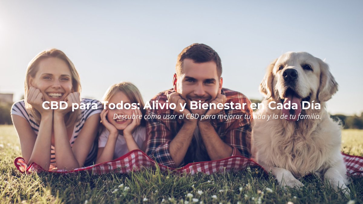 xanatuvida's tweet photo. ¿El CBD solo es para momentos específicos? 🌿 ¡No! Descubre en nuestro nuevo artículo c\u00f3mo integrarlo a tu rutina diaria para mejorar tu vida y la de tu familia. 🐾💆‍♀️

https://t.co/edtZWTuiPN https://t.co/GILIEUCvuv