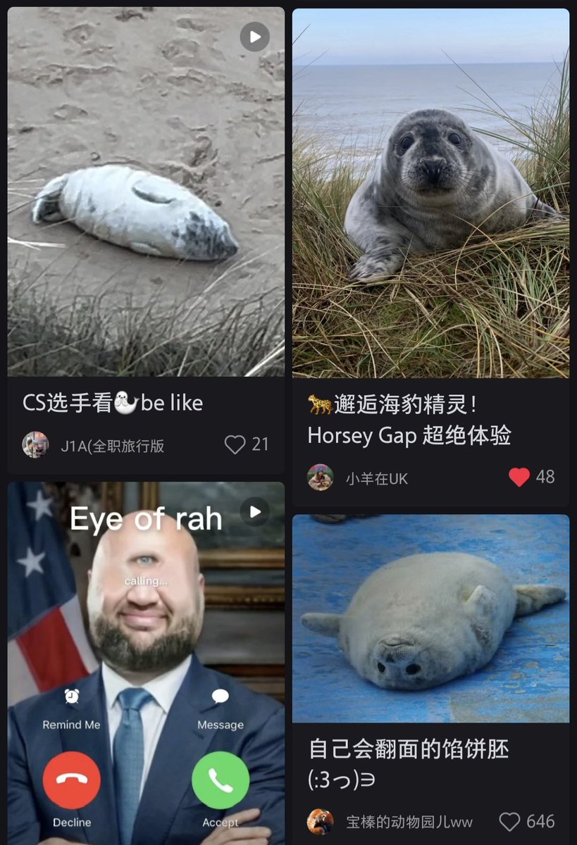 spilledcrawfish's tweet image. lowkey sleeping on xhs sealposters this shit is straight gas. ignore eye of rah