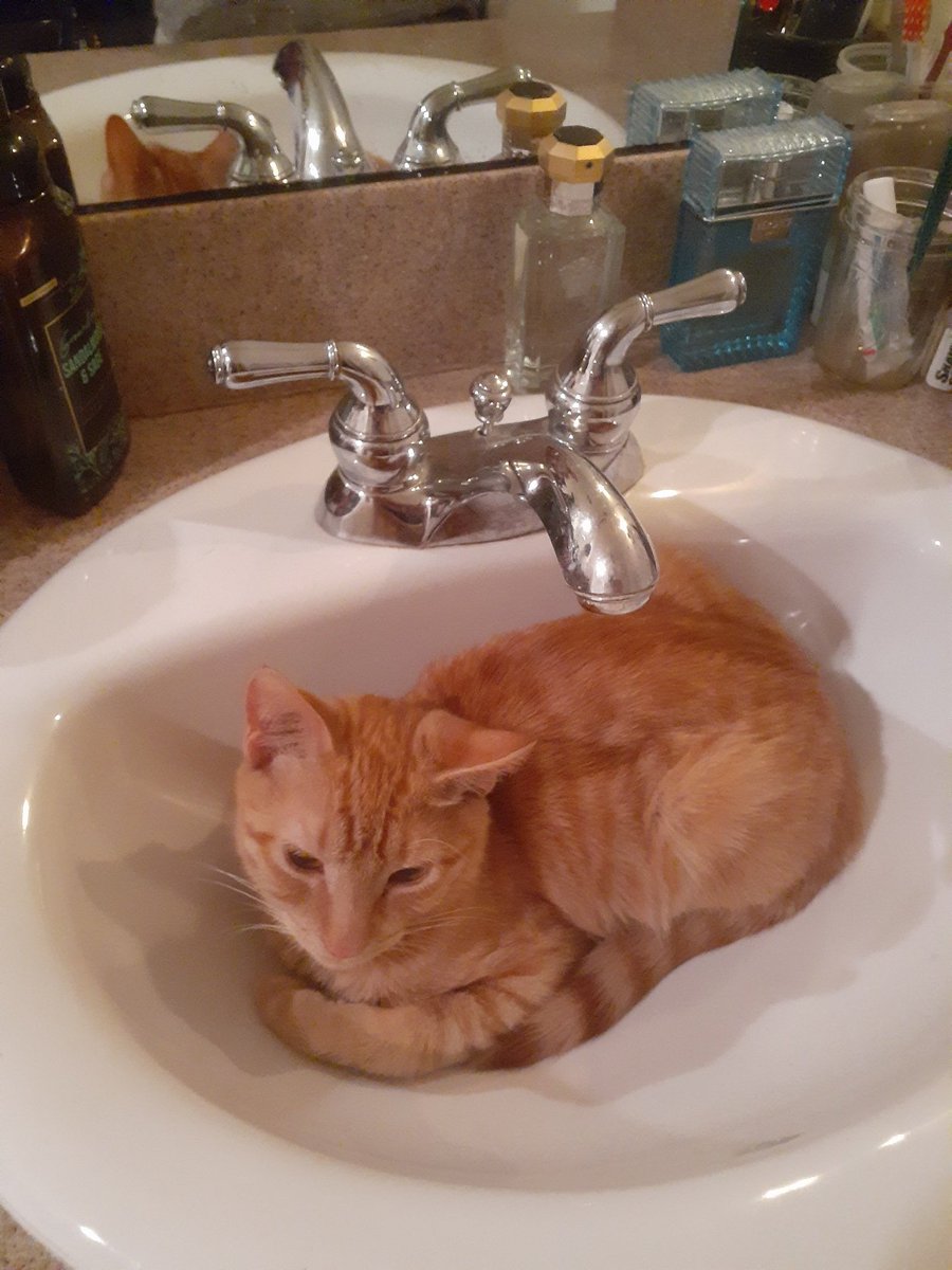 JACOB 🇺🇸 tweet media