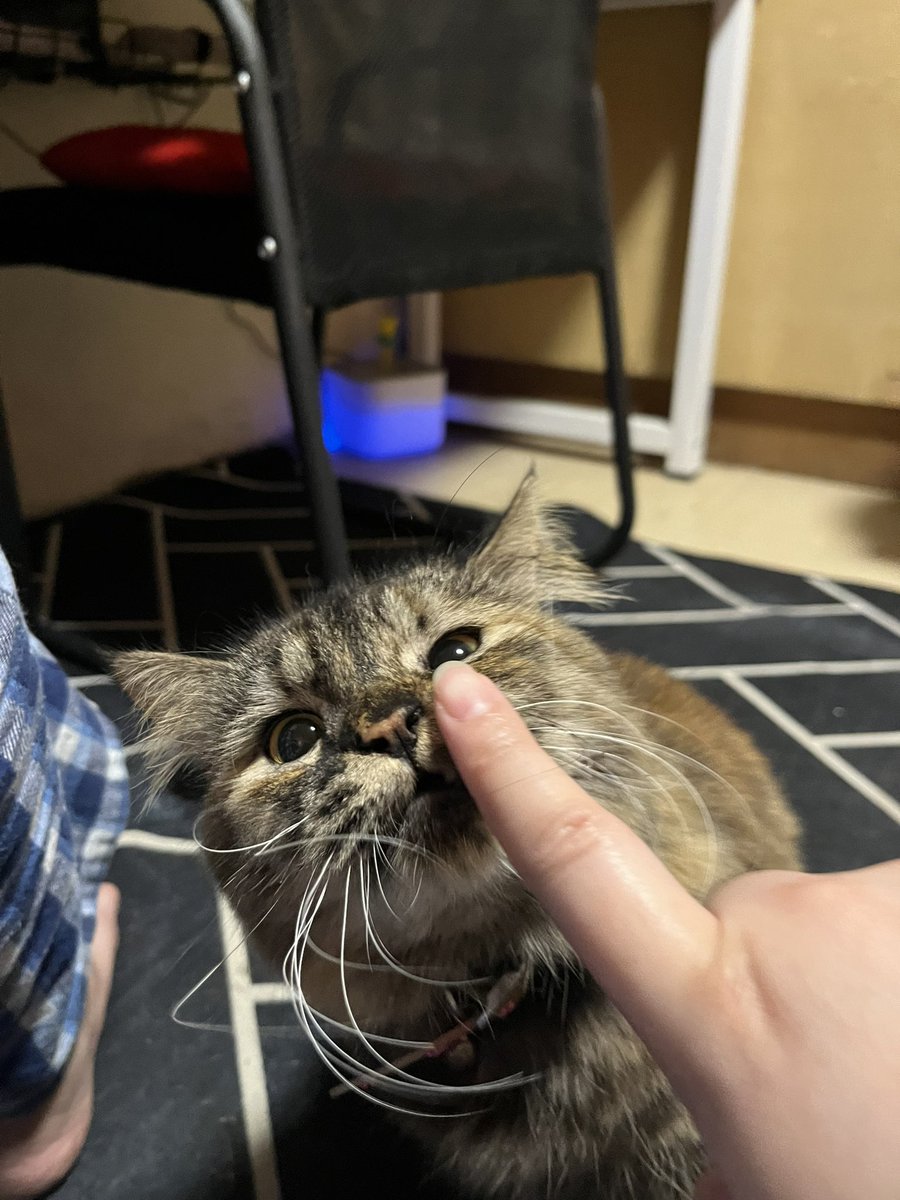 httpsnth's tweet image. Baby coochie