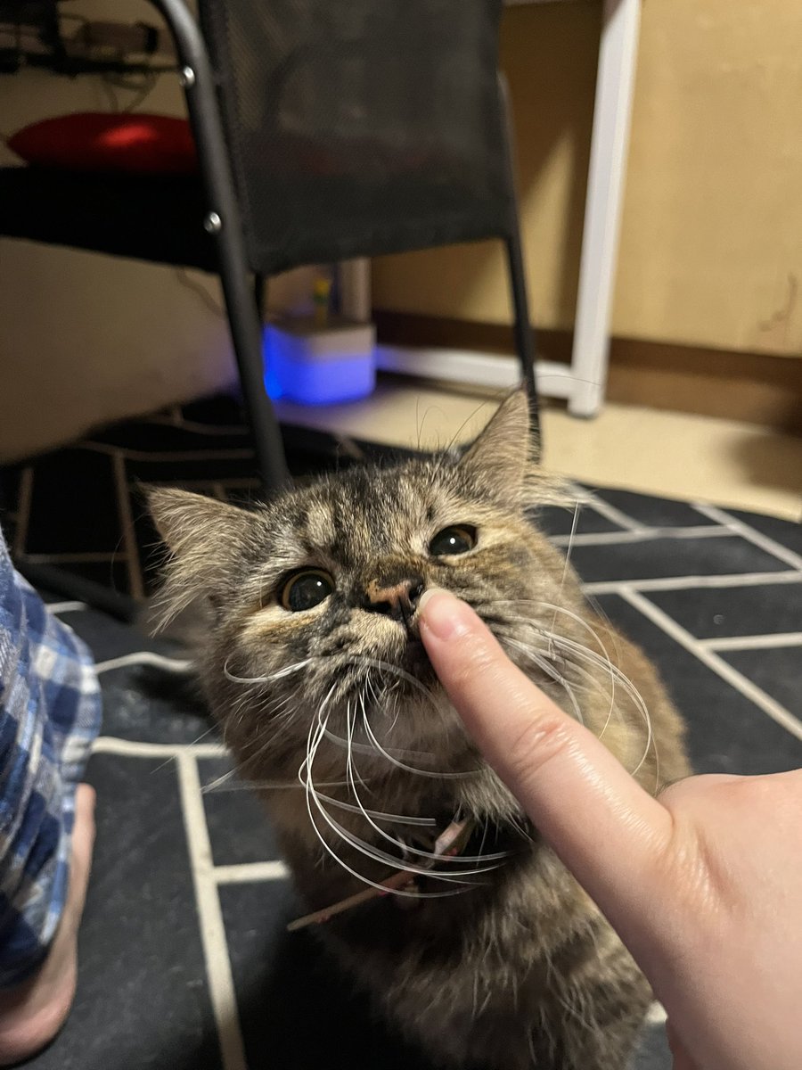 httpsnth's tweet image. Baby coochie