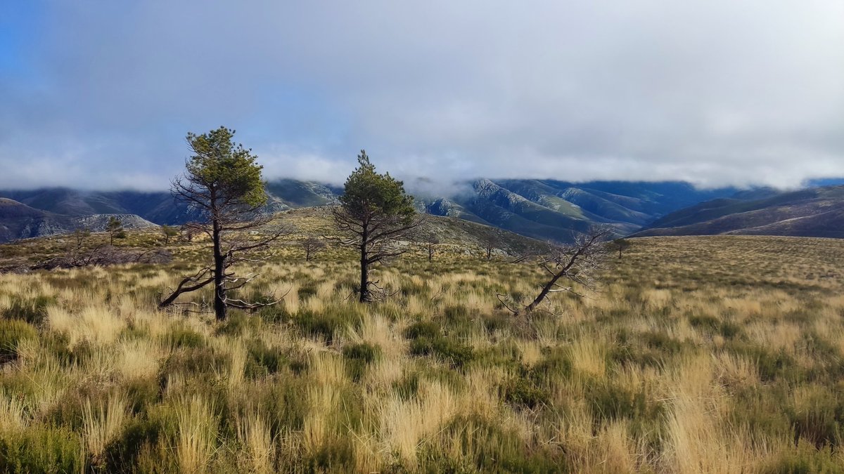 Incendio de Pradoalbar, Vilariño de Conso (OU) de 7.200 ha (año 2022)
