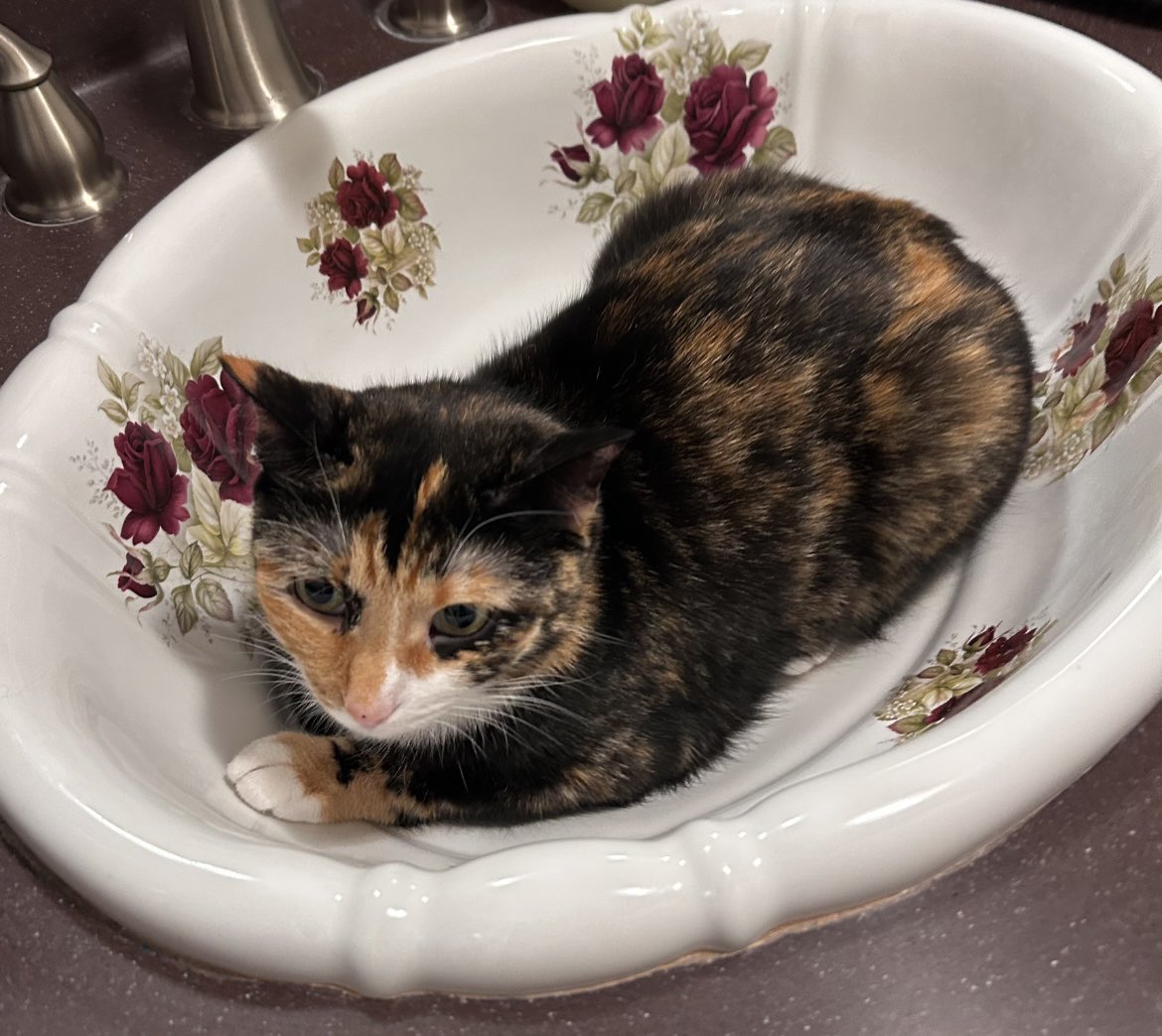 Mrs Jones tweet media