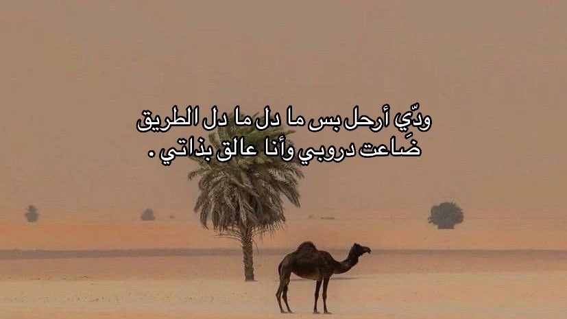 وصايف . tweet media