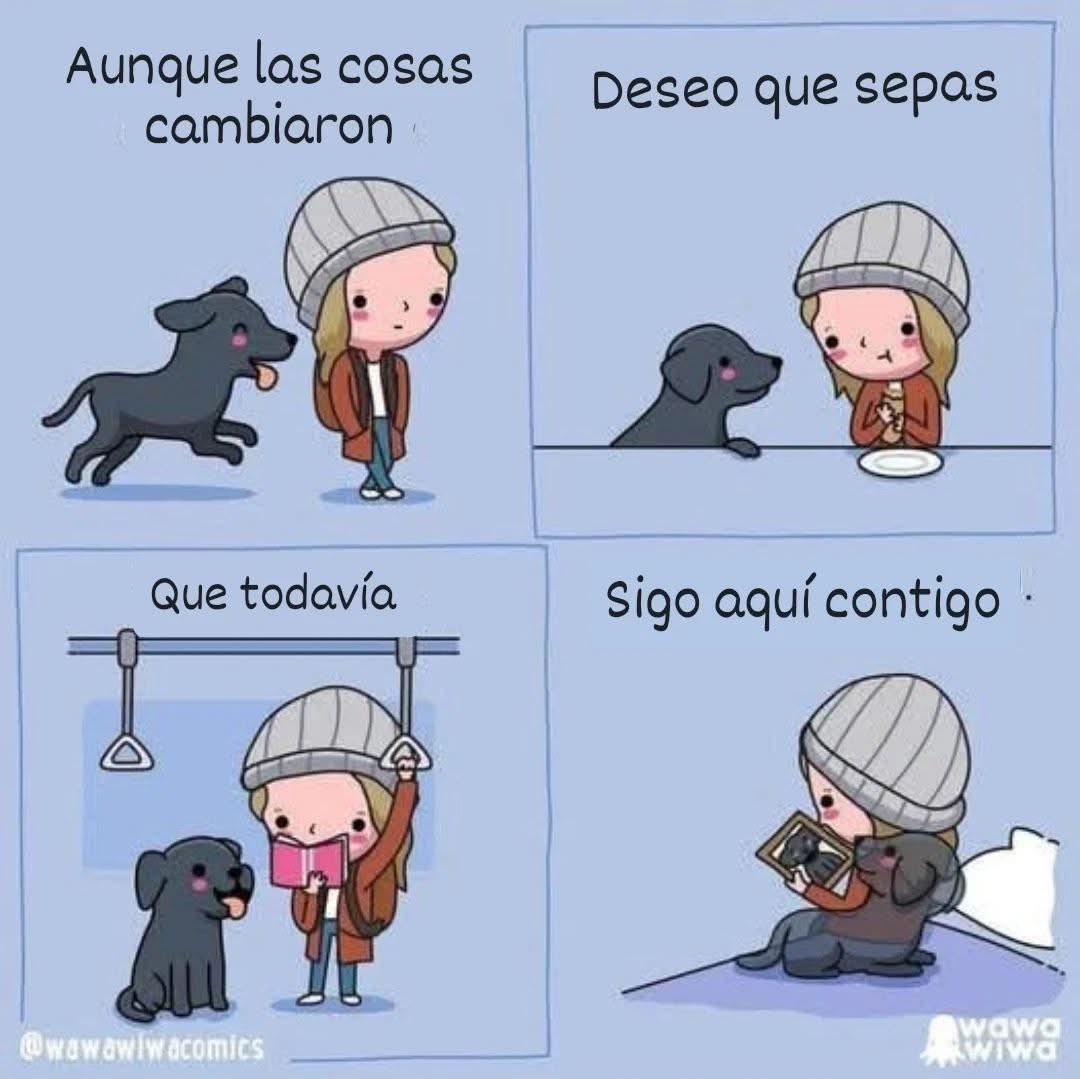 Mi Gustavito❤️‍🩹