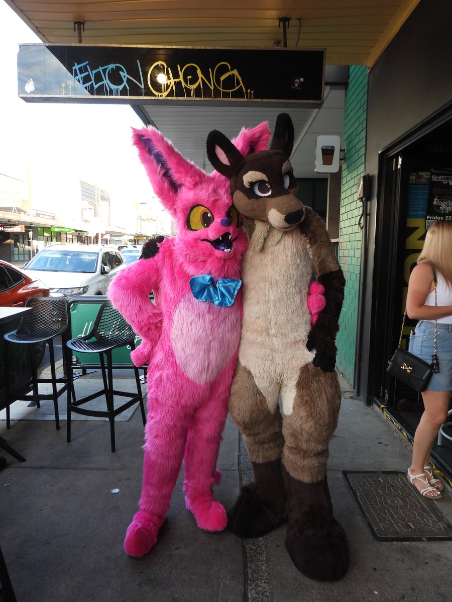 Deer 237 tweet media