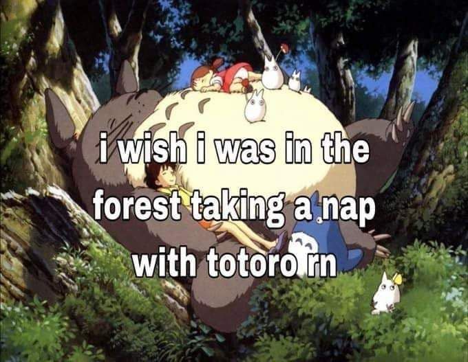 Anime Aesthetics (@anime_twits) on Twitter photo 