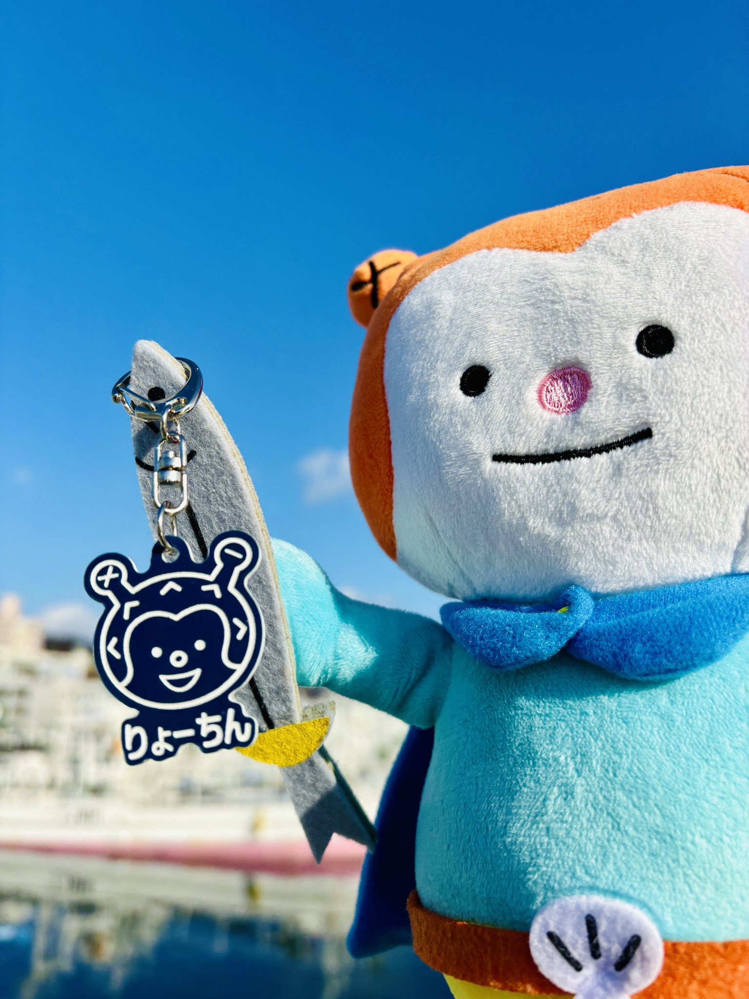 気仙沼市物産振興協会 / ホヤセレクト【公式】 on X: 