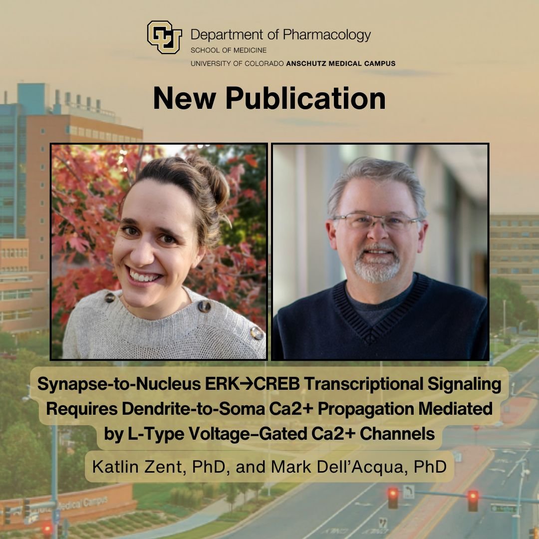 CU Anschutz Department of Pharmacology tweet media