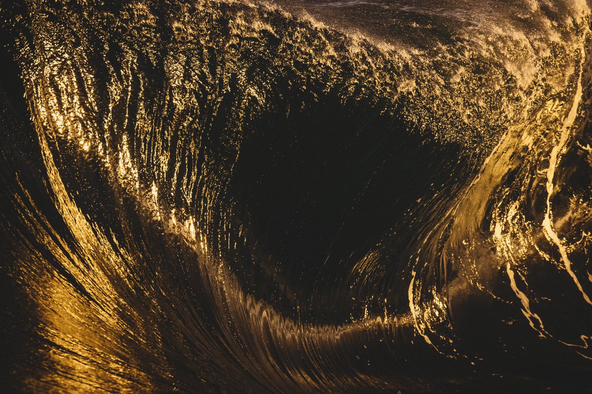 Kim Feast tweet media