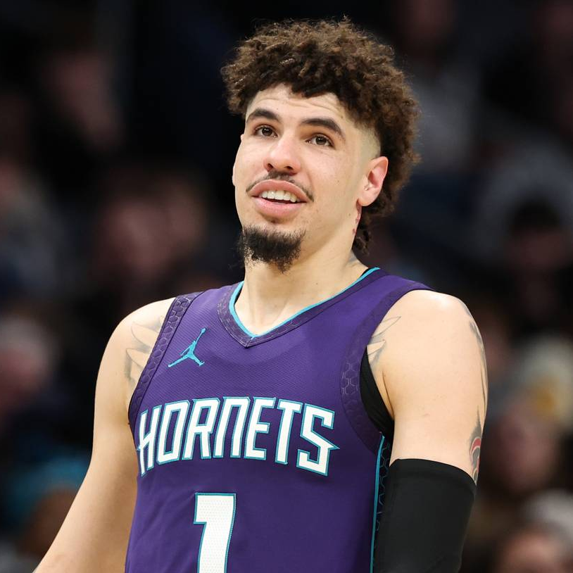 HornetsReddit's tweet image. LaMelo Ball won the fan vote but evidently didn't fare as well in the media and player votes. He will not be an NBA All-Star starter this year. 🙄

2025 East NBA All-Star Guards: 
Jalen Brunson
Donovan Mitchell