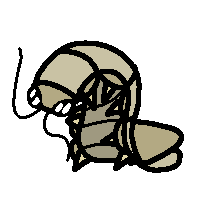 UNFORTUNATELY I'LL BE HEADING OUT FOR SOME TIME BUT I'LL BE BACK I PROMISE, I HOPE Y'ALL FILL MY REPLIES WITH MORE BUGS, MODERN OR PREHISTORIC, I WILL SURELY DRAW THEM

here's a lil' collection of each so far!