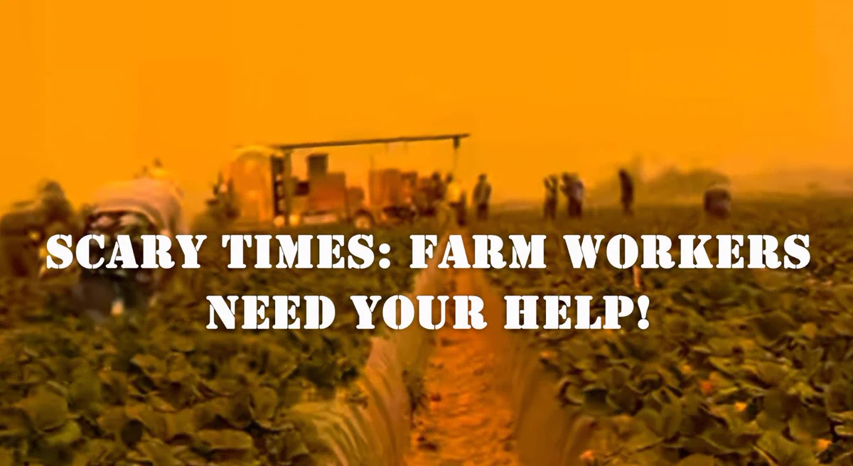 Photo of workers harvesting strawberries amid eerie orange glow from wildfire smoke with the text overlay "Scary Times: Farm workers need your help!"