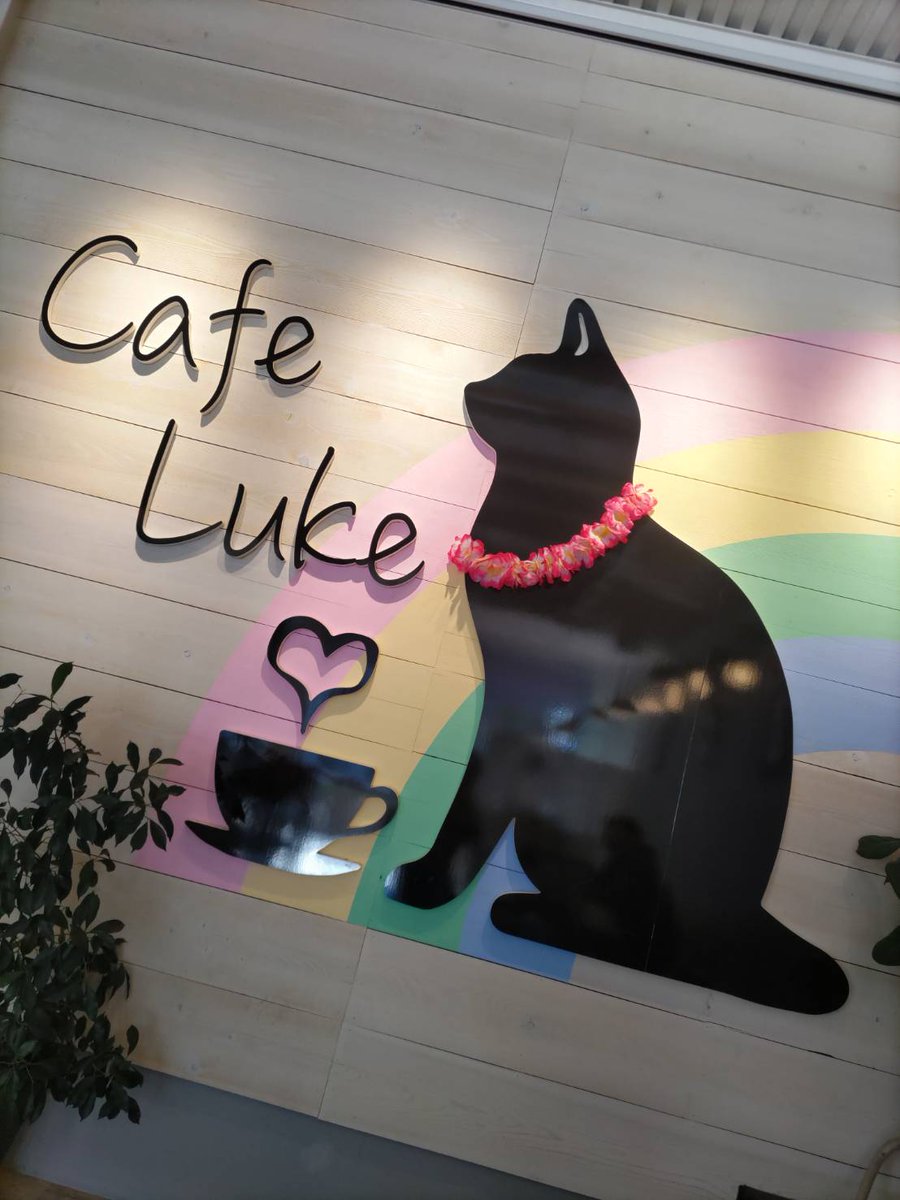 yossa07290729's tweet photo. #昨日のおやつ #愛知県 #西尾市 #パンケーキ #抹茶  #CafeLuke #カフェルーク
昨日は西尾市までお出かけ🚘️
YouTubeで観てて…気になったカフェに行ってきたよ😊
抹茶のパンケーキは、そのばで、抹茶のクリームをかけてくれたよ👍
あと抹茶のティラミスを頼んだよ🍵
美味しかった👍 https://t.co/f4uF8p1XsP