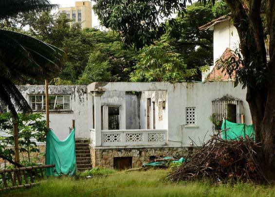 Ana Erazo tweet media