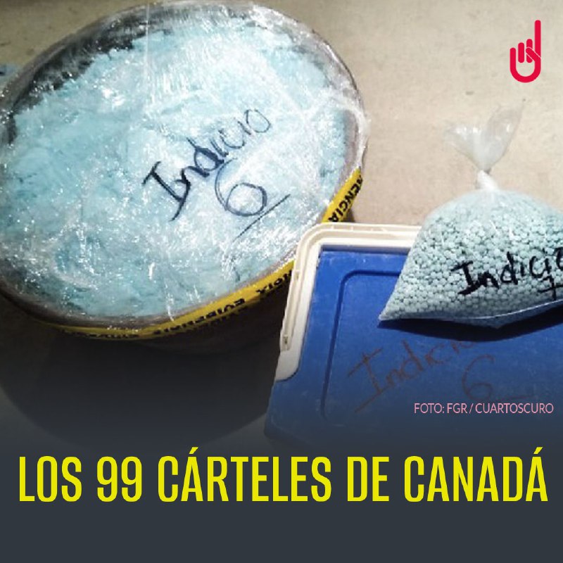 Estalla bomba a los canadienses: grupos locales producen más fentanilo de exportación. 

¿De cuántos grupos criminales se trata? En este hilo te brindamos la información. 🧵