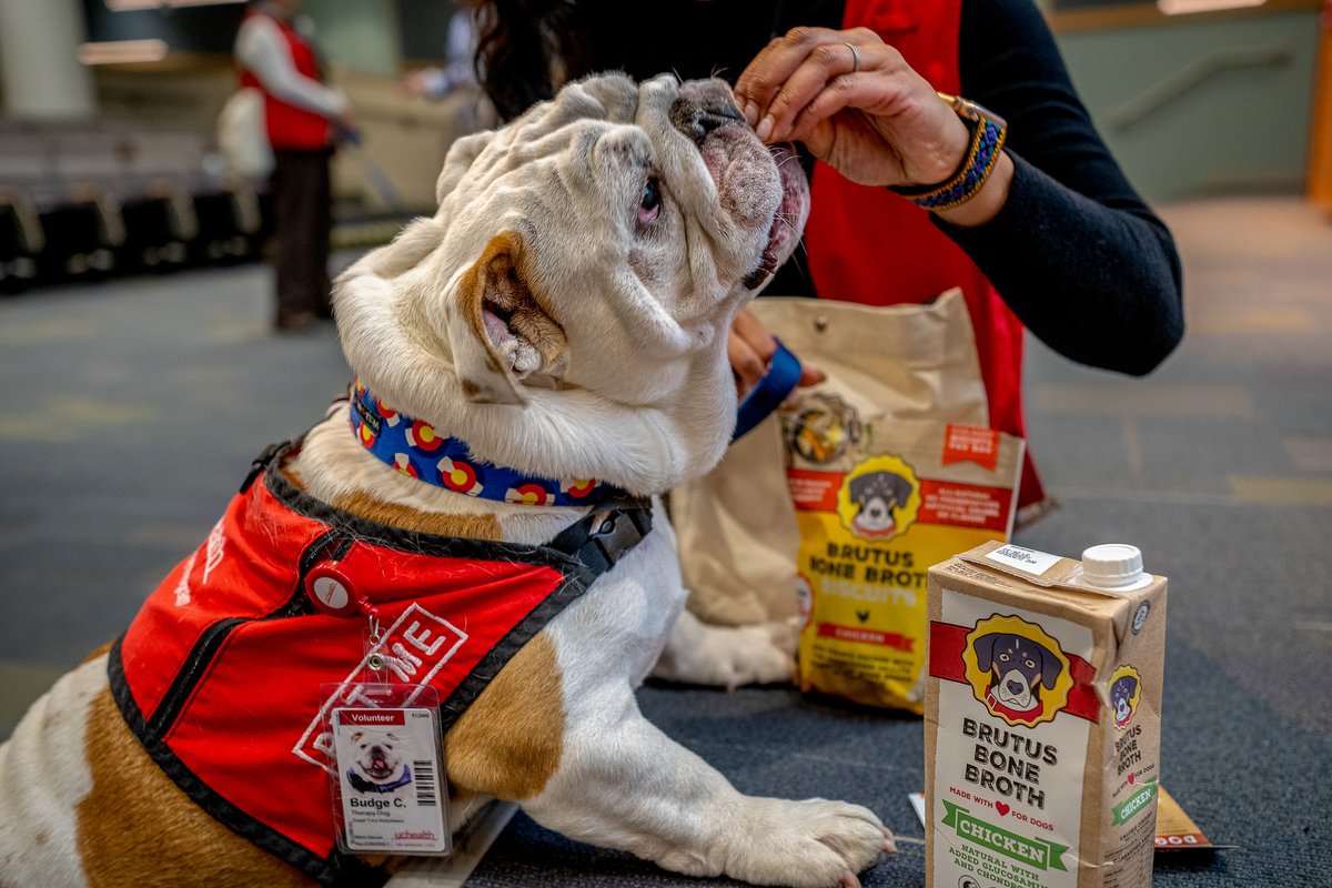 The key to our therapy dogs' hearts♥️ Yappy Hour with @brutusbroth 
#ReadySetCO