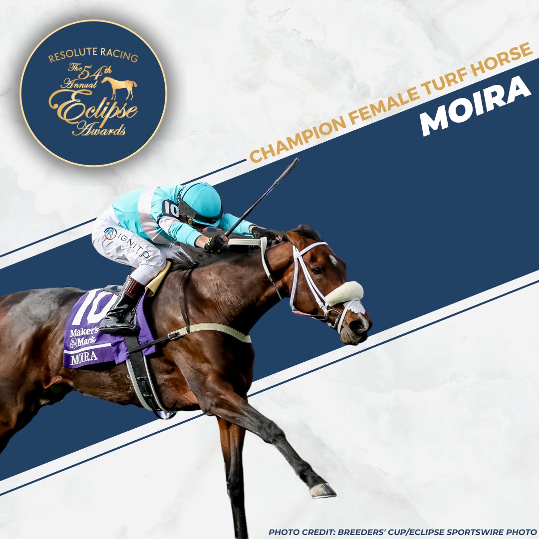 NTRA (@ntra) on Twitter photo Congratulations to 2024 Champion Female Turf Horse, Moira!
Trainer: Kevin Attard <a href="/kevin_attard/">Kevin Attard Racing</a>
Breeder: Adena Springs <a href="/AdenaSprings/">Adena Springs Farm</a>
Owner: Madaket Stables LLC, SF Racing LLC, and X-Men Racing <a href="/MadaketStables/">MadaketStables</a> <a href="/Xmenracing/">X-Men Racing</a>
Jockey: Flavien Prat Congratulations to 2024 Champion Female Turf Horse, Moira!
Trainer: Kevin Attard <a href="/kevin_attard/">Kevin Attard Racing</a>
Breeder: Adena Springs <a href="/AdenaSprings/">Adena Springs Farm</a>
Owner: Madaket Stables LLC, SF Racing LLC, and X-Men Racing <a href="/MadaketStables/">MadaketStables</a> <a href="/Xmenracing/">X-Men Racing</a>
Jockey: Flavien Prat