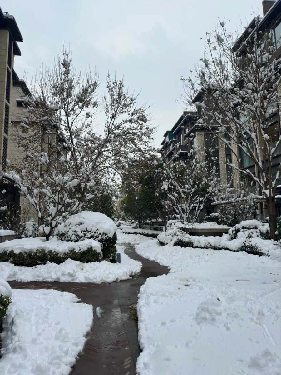 magdhdagd's tweet photo. "Ski, sled, or sip cocoa\u2014just add snow! πΏβοΈβοΈ #SnowyFun" https://t.co/t35gE18swd
