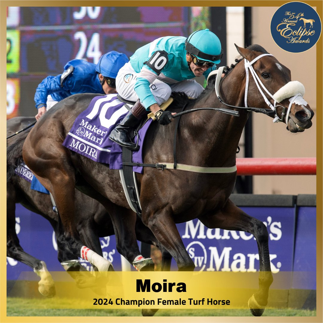 Daily Racing Form tweet media