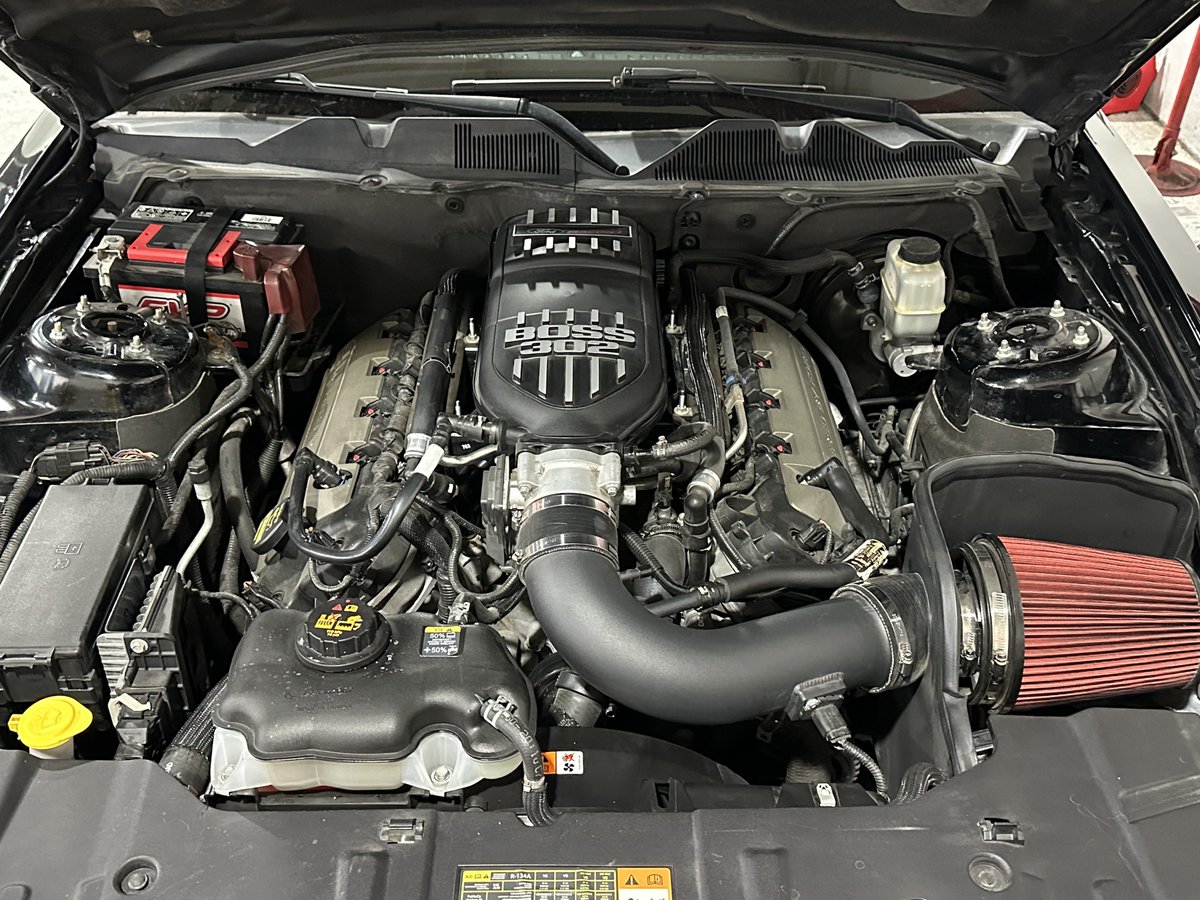 Torx 🐆⛽ tweet media