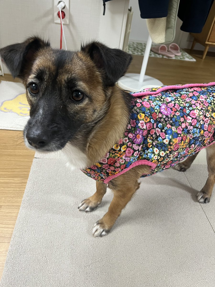 무리뉴 tweet media