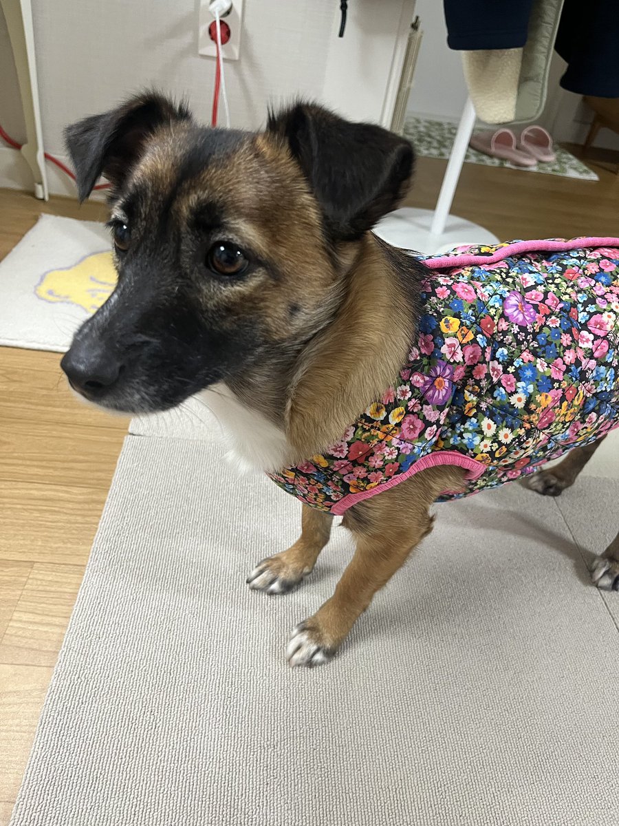 무리뉴 tweet media