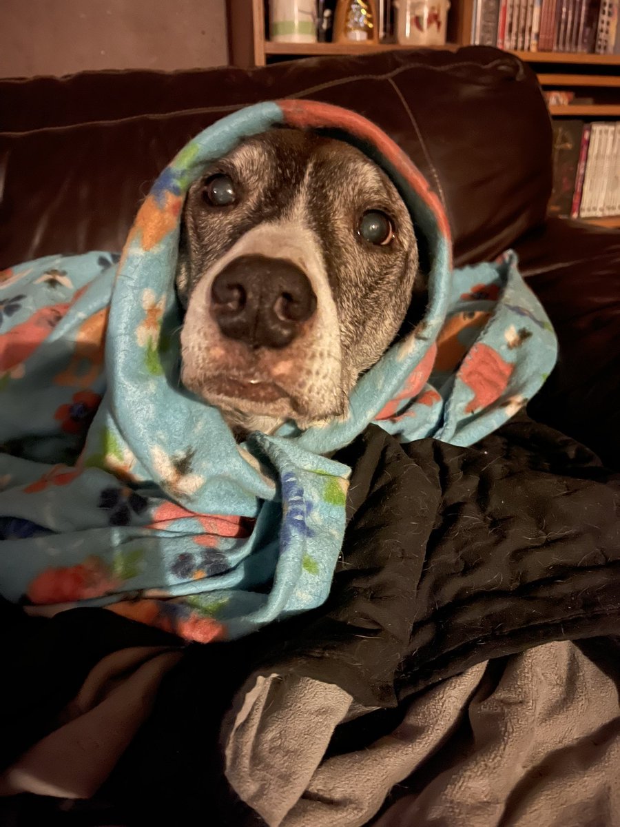 🐾Fur Kidz Adventurez🐾 tweet media