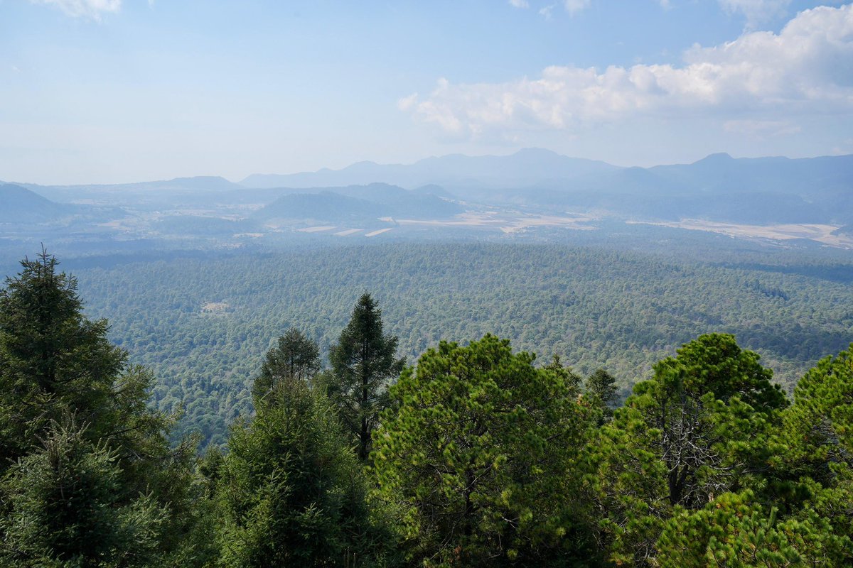 mariana_boy's tweet image. Avanzamos firmes con el compromiso de proteger al Bosque de Agua. 🌳🌊 Este día hicimos un recorrido en la zona colindante de #Morelos y #CDMX, con el fin de afinar estrategias y sumar fuerzas para frenar los delitos en este ecosistema fundamental para nuestro país. Gracias a…