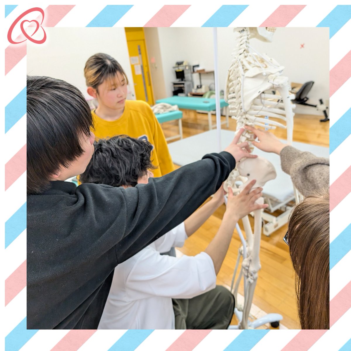 kuhs_pt's tweet photo. １年生の後期になると理学療法学の専門科目が増えてきます。今回は、各関節の機能を学ぶ「運動学Ⅱ」の講義を紹介します。この日は脊柱（背骨）の運動がテーマで、学生たちは４人グループで全身骨格模型を観察し、ときには動かして、脊柱に関する課題に取り組んでいます。 https://t.co/5dYOGPS8Nb