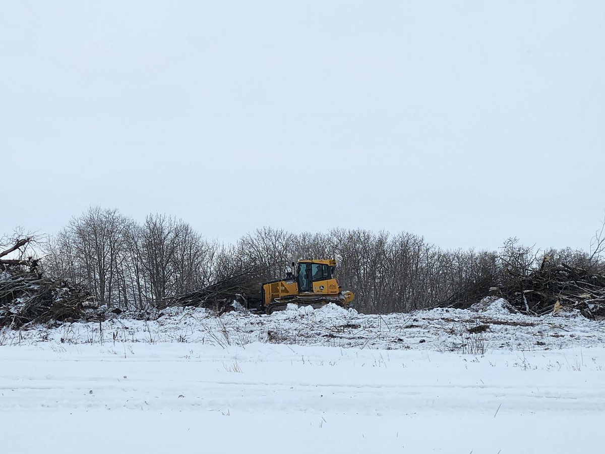 LaycockMark's tweet photo. I know that there will be haters for this post, but I'm a grain farmer and make my living with dirt, not trees. I love seeing land being cleared for something productive. #ilovethesmell #pushbush25 #seed25 https://t.co/bTpSrdVC9G
