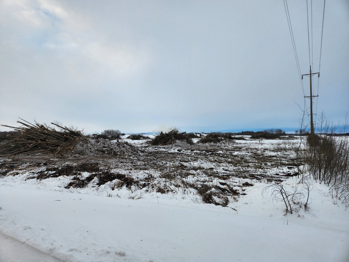 LaycockMark's tweet photo. I know that there will be haters for this post, but I'm a grain farmer and make my living with dirt, not trees. I love seeing land being cleared for something productive. #ilovethesmell #pushbush25 #seed25 https://t.co/bTpSrdVC9G