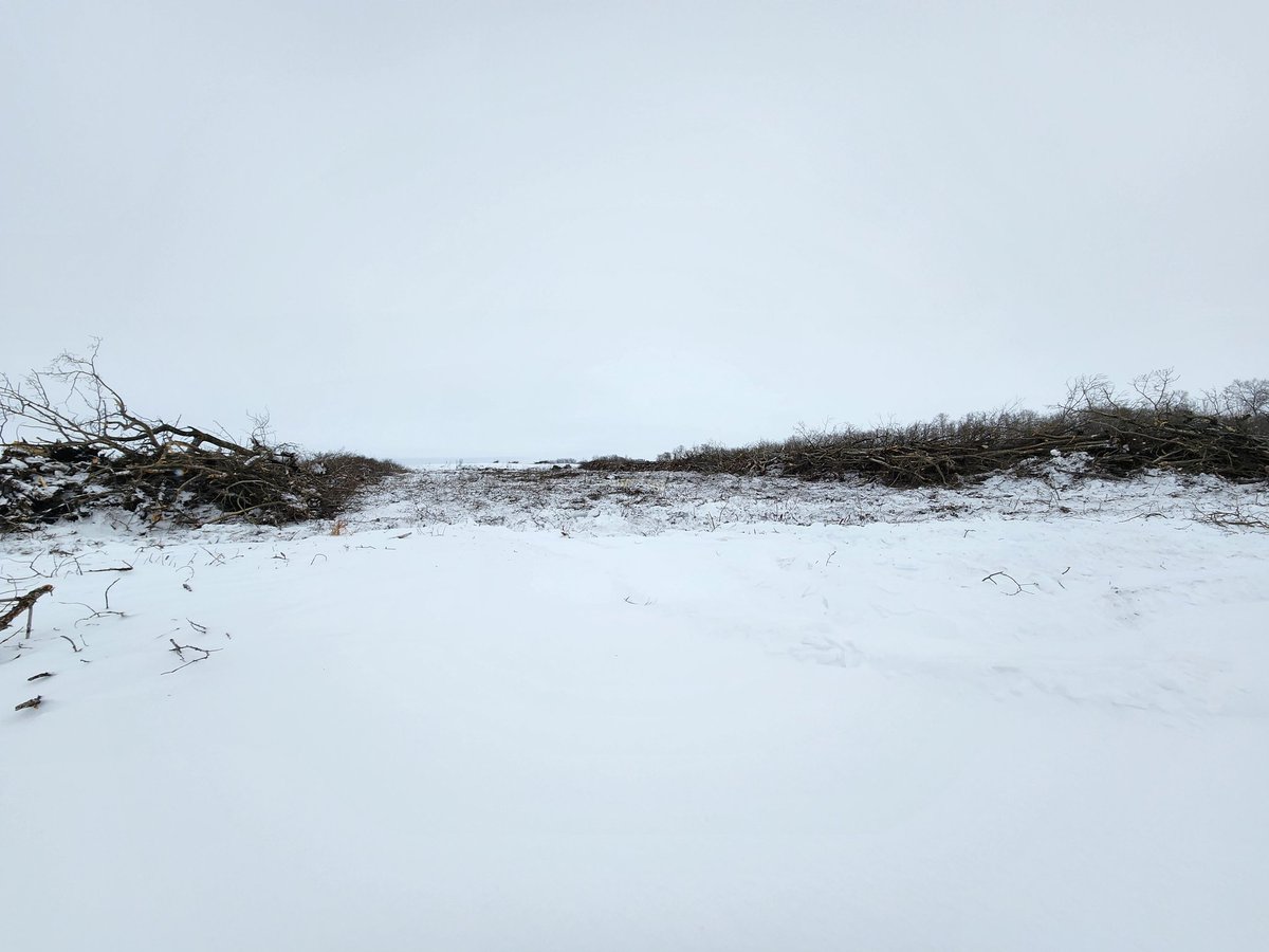 LaycockMark's tweet photo. I know that there will be haters for this post, but I'm a grain farmer and make my living with dirt, not trees. I love seeing land being cleared for something productive. #ilovethesmell #pushbush25 #seed25 https://t.co/bTpSrdVC9G