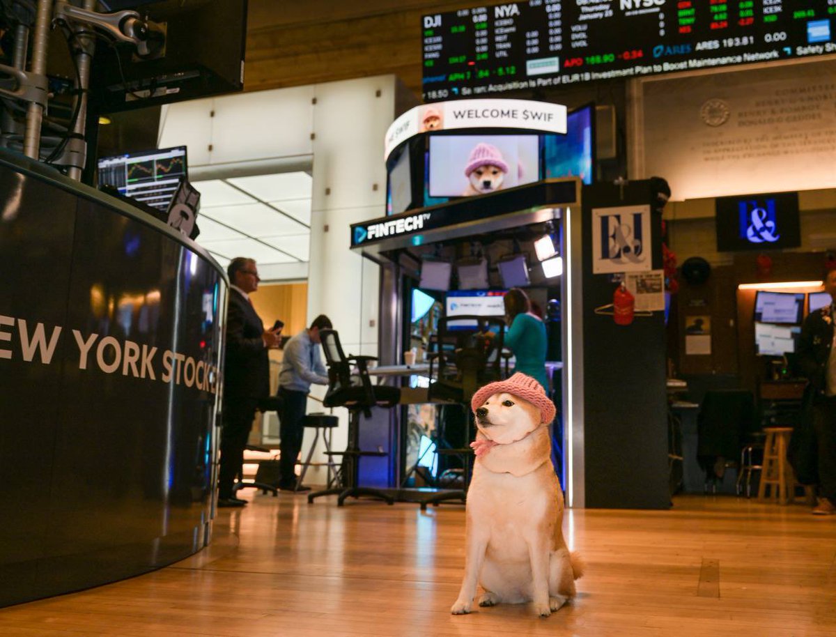 theJoyVilla's tweet photo. #WIF at the #NYSE!🐕🎩‼️ https://t.co/7efUPcGXPw