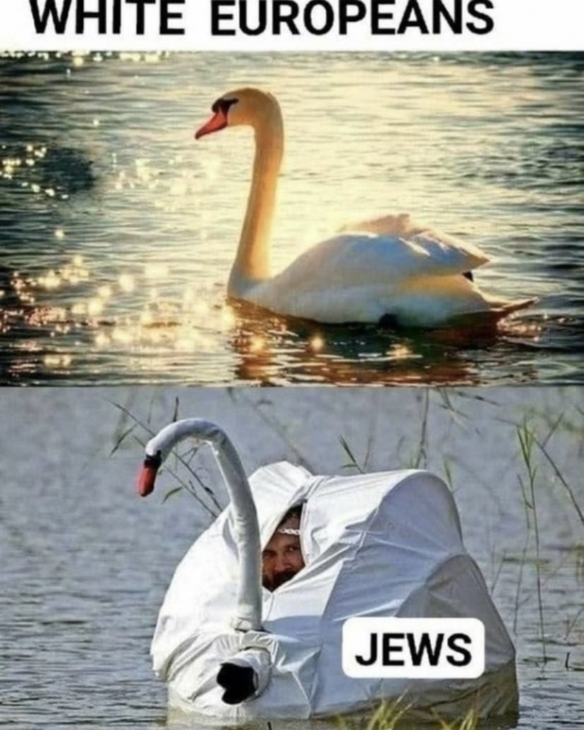 GarbageHuman24's tweet image. 