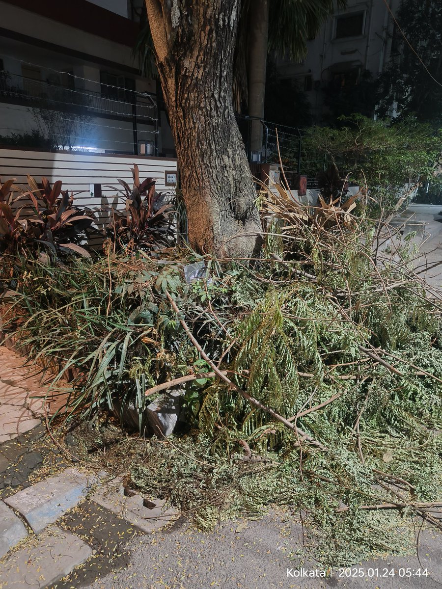suranamit's tweet photo. @kmc_kolkata @TOIKolkata @FirhadHakim @KolkataPolice 
I am a resident of Block G, New Alipore & want to bring to yr attention a concern regarding d tree trimming waste in front of my house. A corporation team visited our area a few days ago to trim d trees, but unfortunately,have not yet cleared d waste.
Thank u in advance & kindly arrange for d clearance at the earliest.